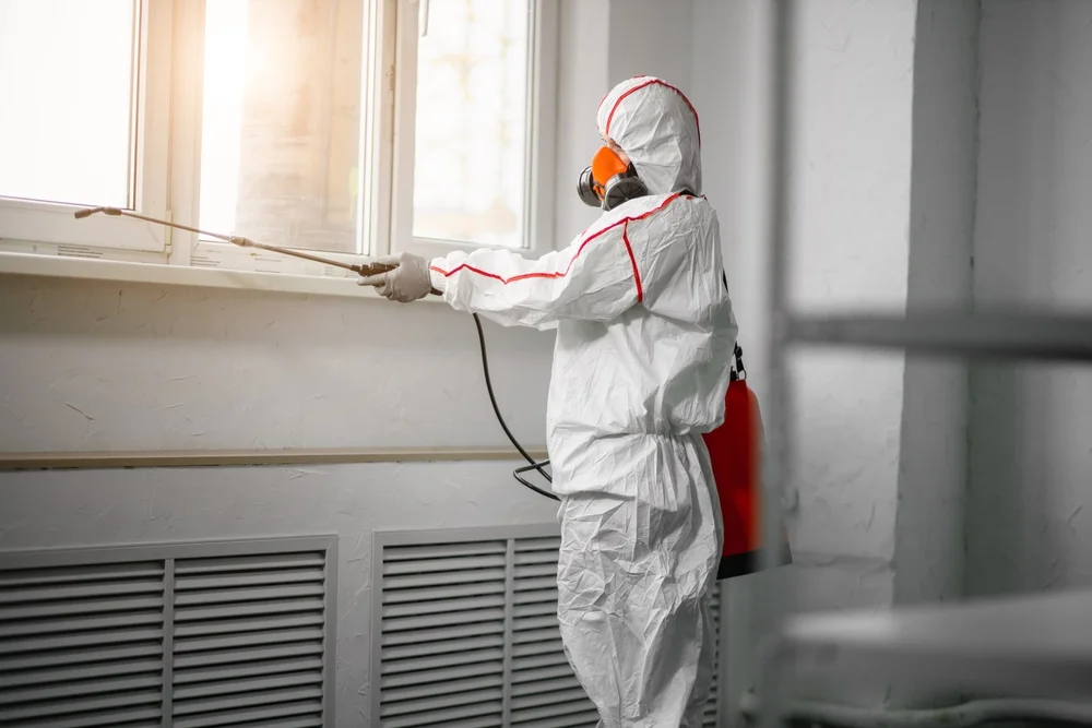 Professional mold remediation services in Peggs, OK
